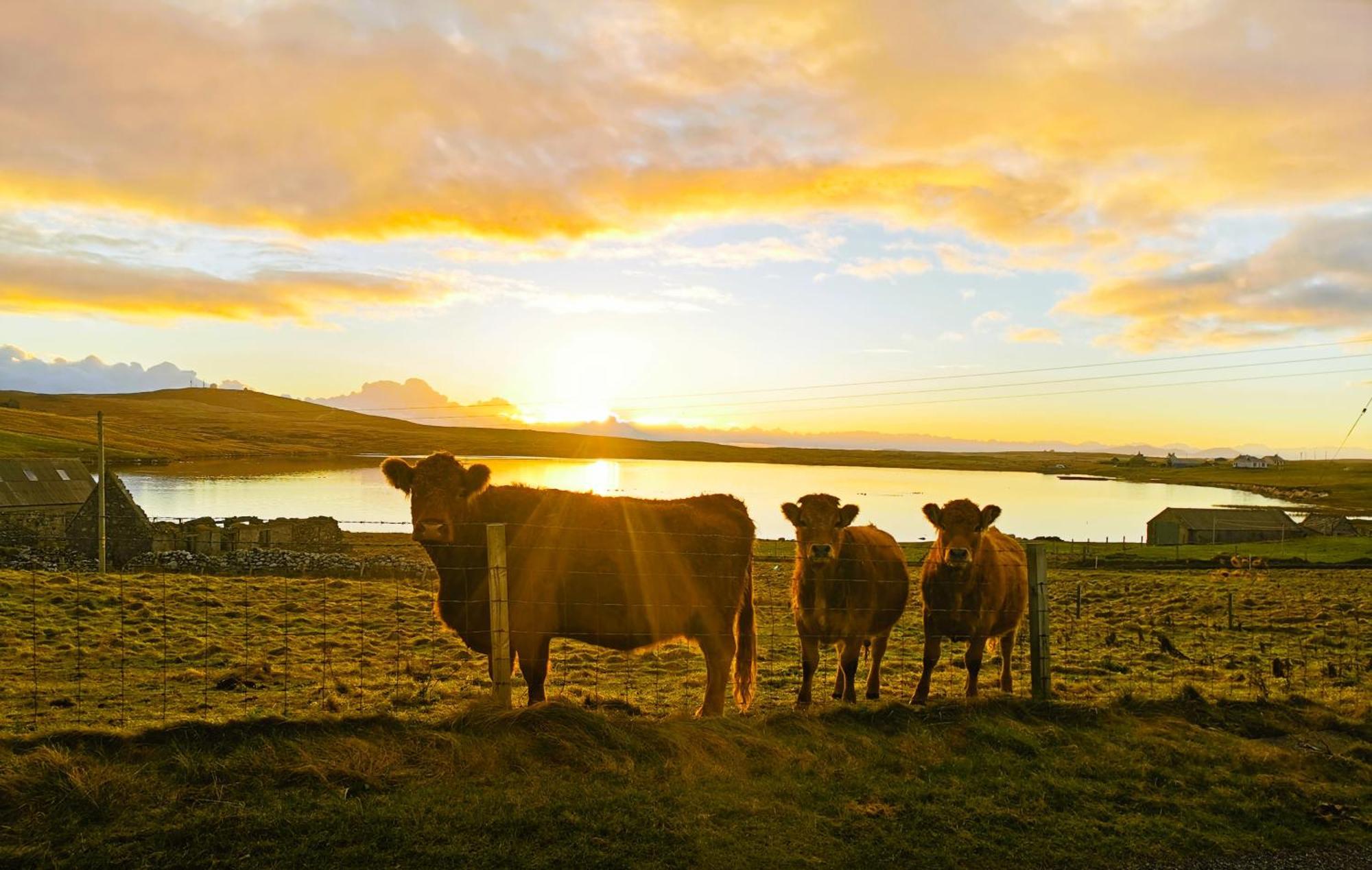 North Uist Lodges Tigharry Экстерьер фото
