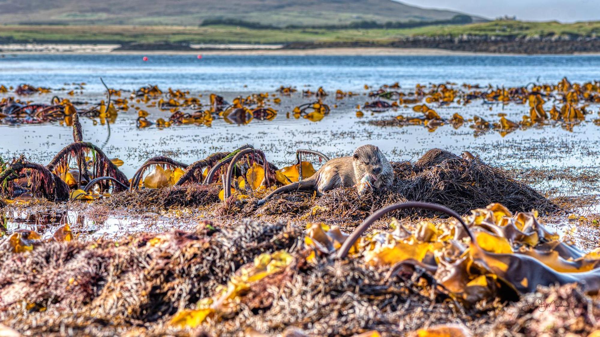North Uist Lodges Tigharry Экстерьер фото